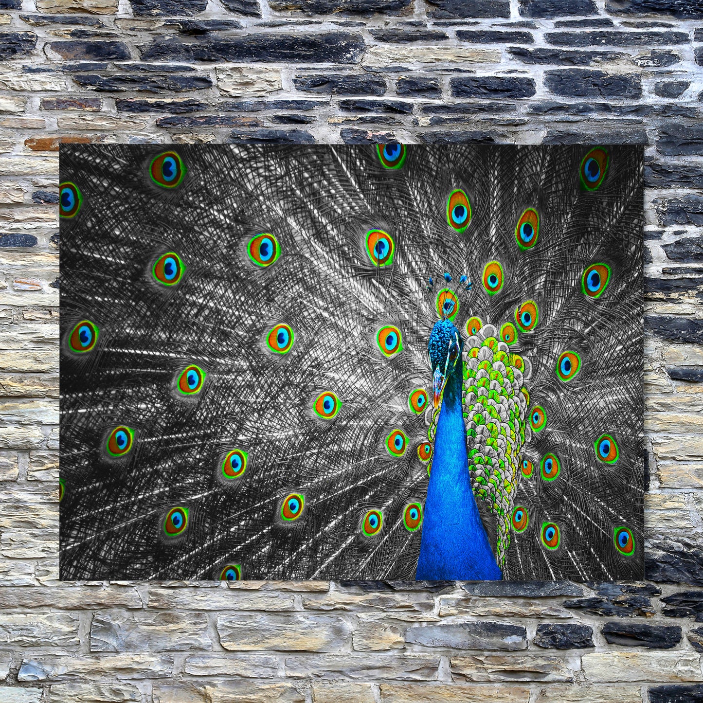 Pop of Peacock Blue - Art Print