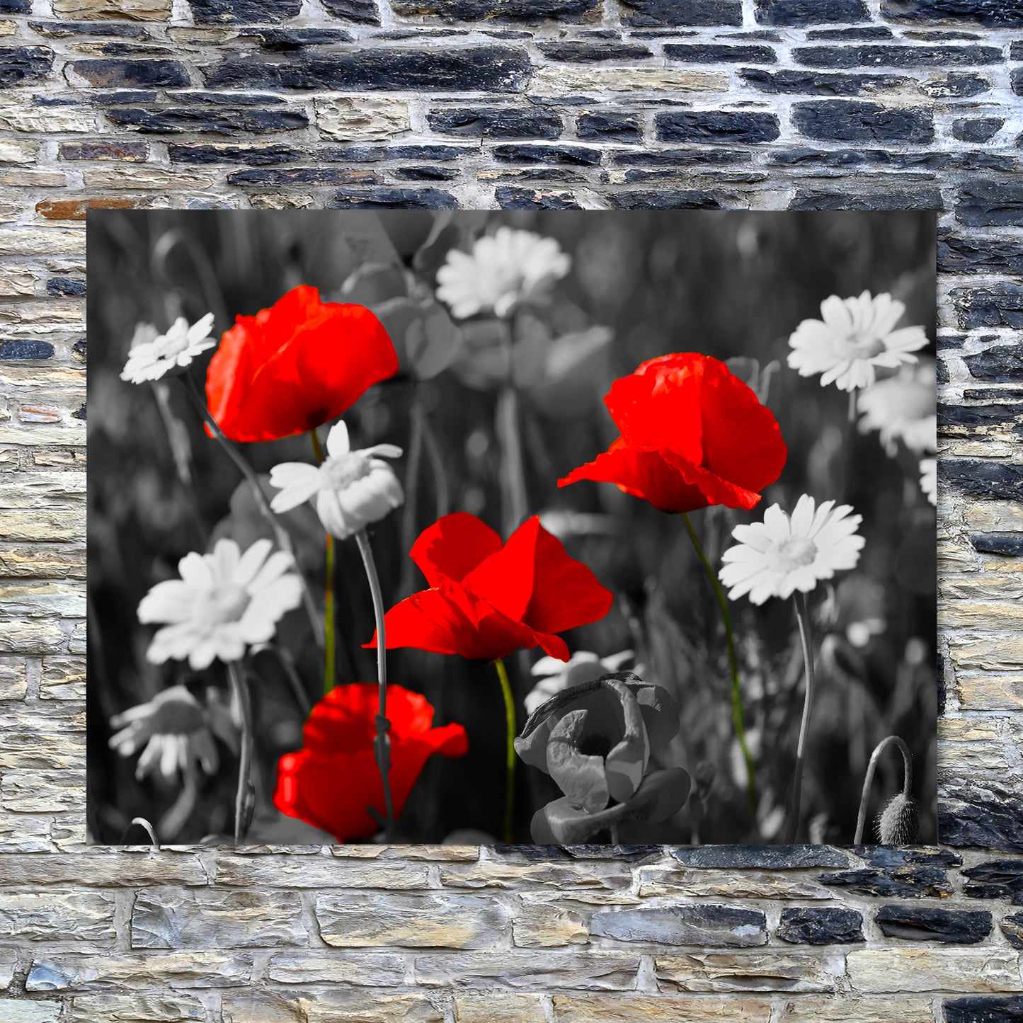 Pop of Vivid Red - Art Print