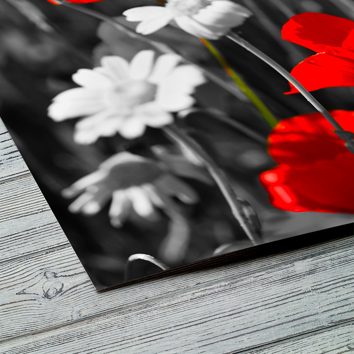 Pop of Vivid Red - Art Print