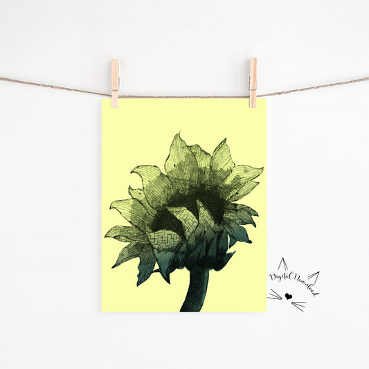 Large sunflower in black on bright yellow background available for digital download.  