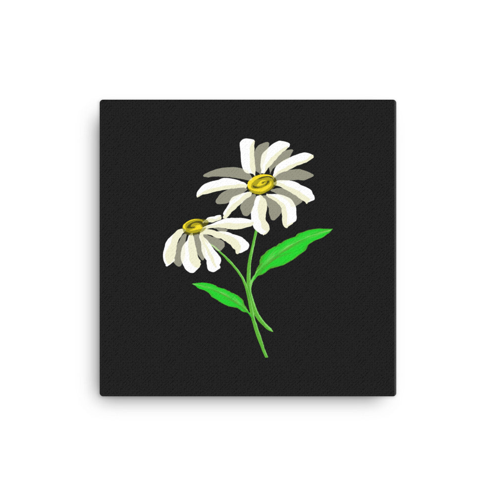 Artwork of daisy with black colored background on a canvas.  
