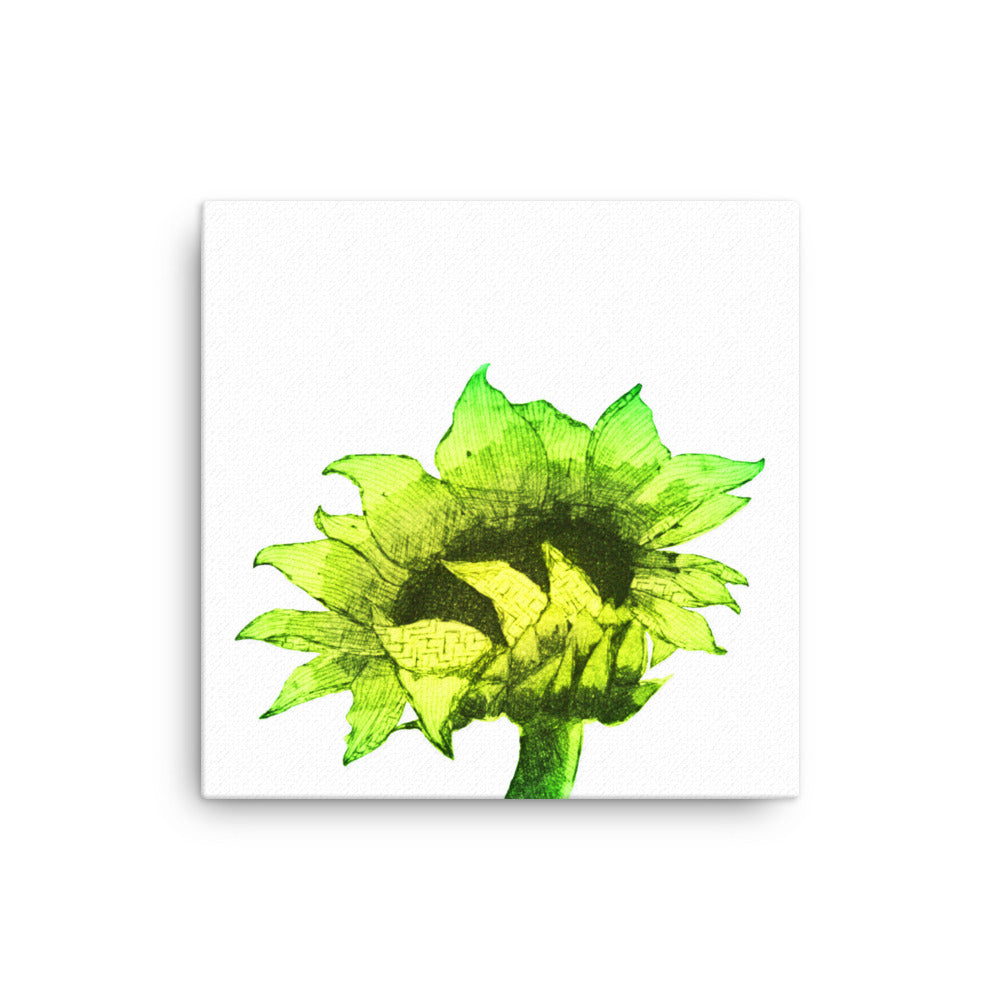 Sunflower - Sunny - Canvas