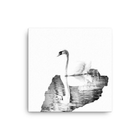 Swan - Black & White - Canvas