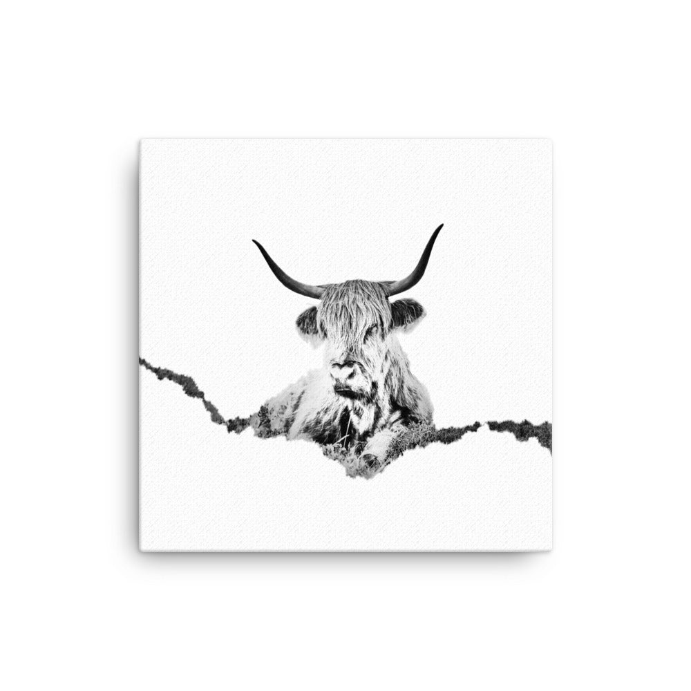 Black and white image of a highland cow on a white canvas.  