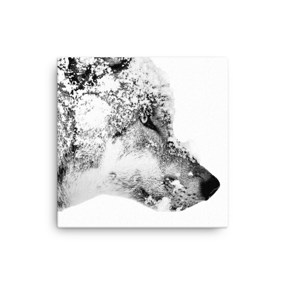 Eurasian Wolf - Black & White - Canvas