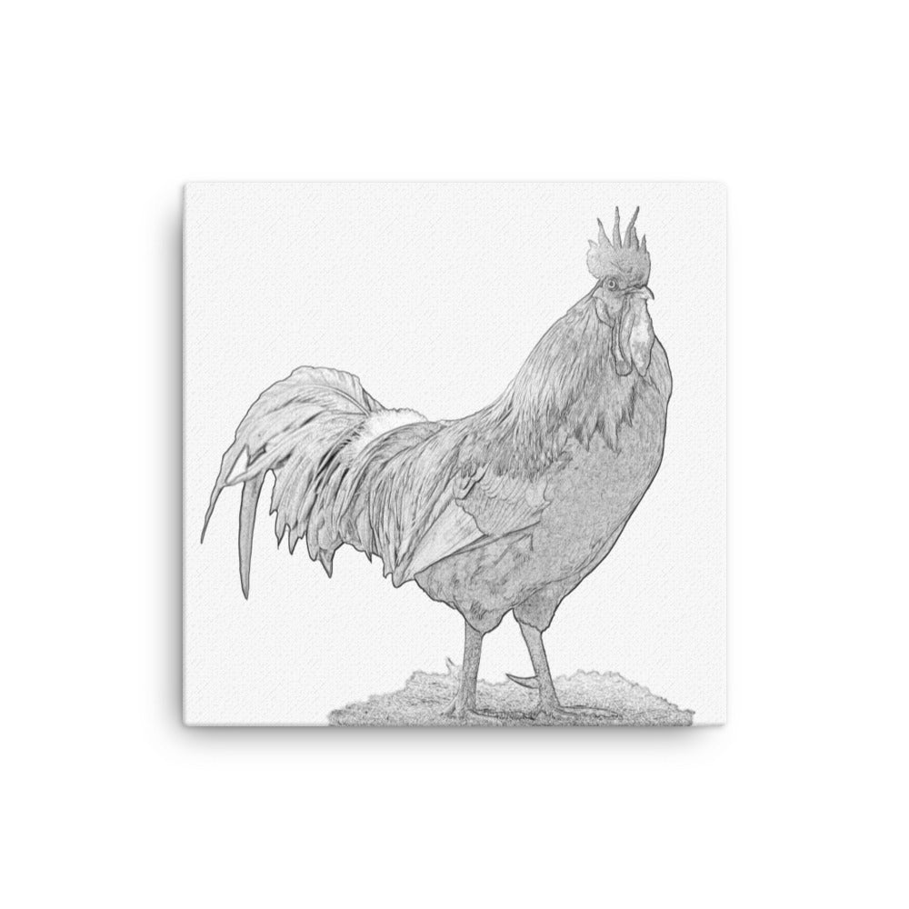 Rooster - Black & White - Canvas