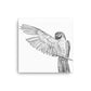 Macaw - Black & White - Canvas