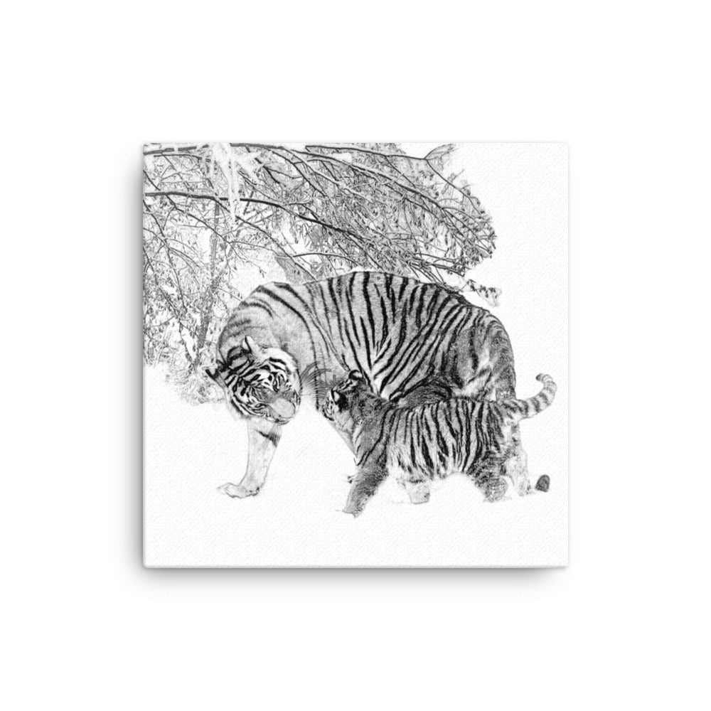 Tigers - Limited Edition - Black & White - Canvas