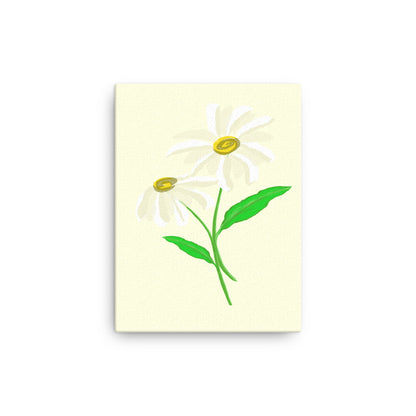 Daisy Day - Paris Daisy - Canvas