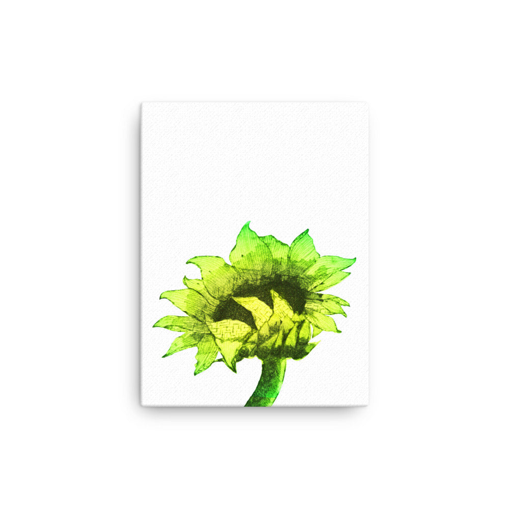 Large sunflower in bright yellow on a white canvas.  