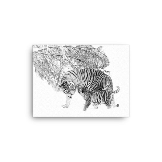Tigers - Limited Edition - Black & White - Canvas