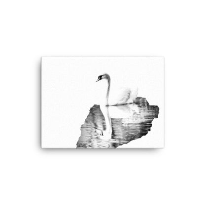 Swan - Black & White - Canvas