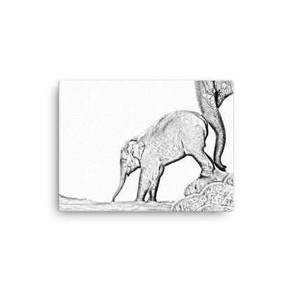 Elephant - Black & White - Canvas