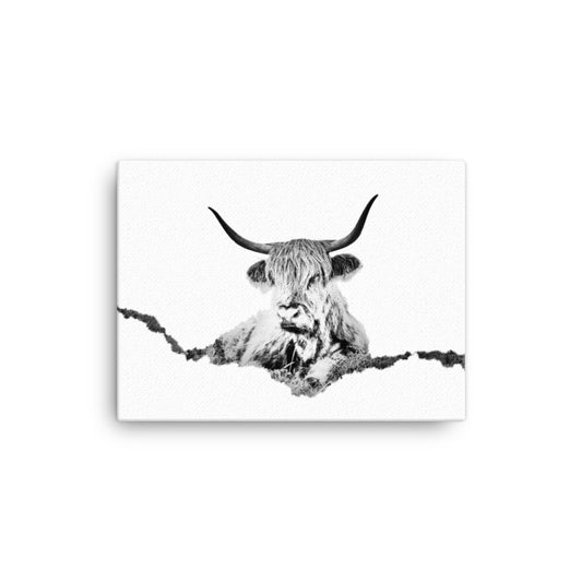 Highland Cow - Black & White - Canvas