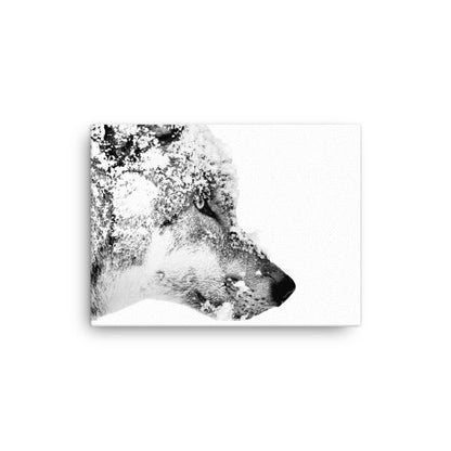 Eurasian Wolf - Black & White - Canvas