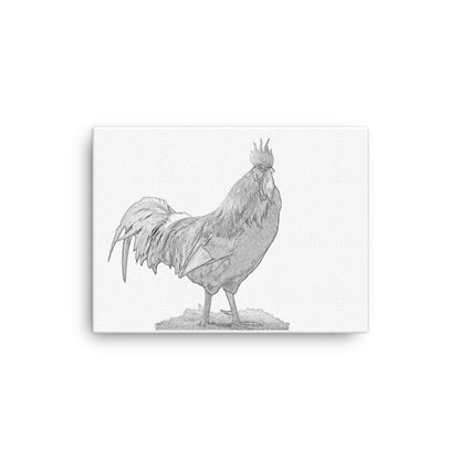 Rooster - Black & White - Canvas