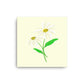 Daisy Day - Paris Daisy - Canvas