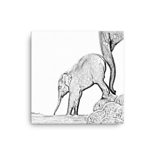 Elephant - Black & White - Canvas