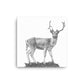Black and white image of a fallow deer on a white canvas.  