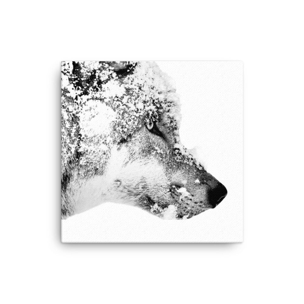 Black and white image of a wolf face with snow on a white canvas.  