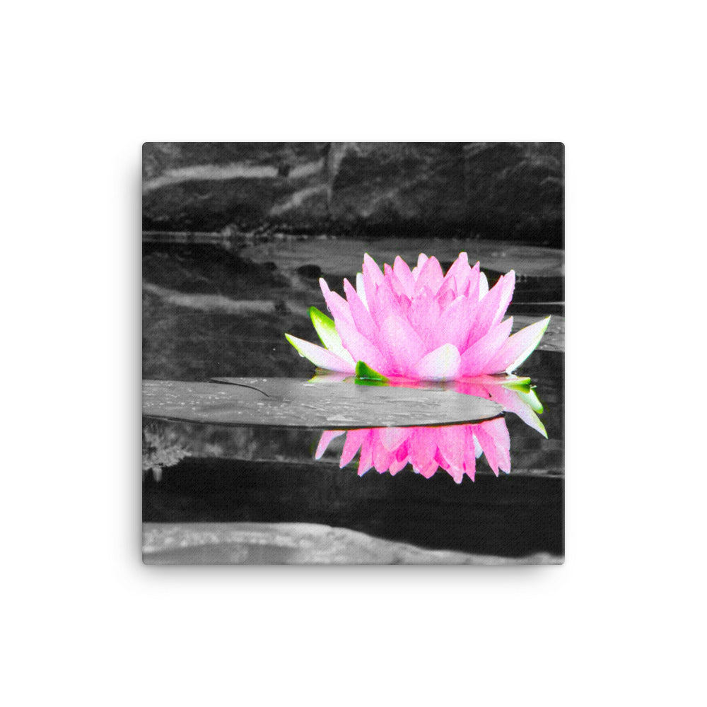 Pop of Blossom Pink - Canvas
