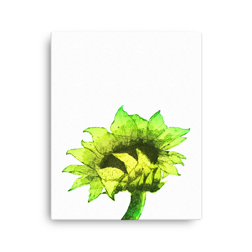 Sunflower - Sunny - Canvas