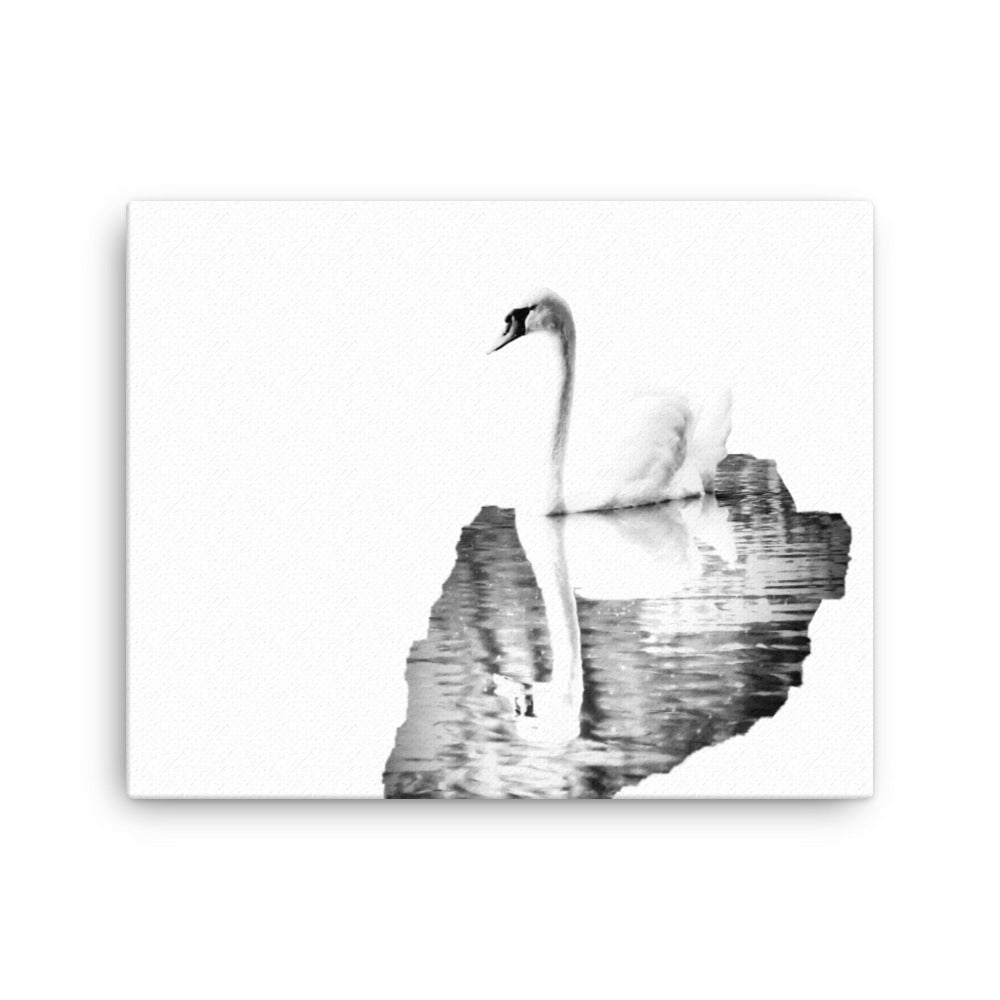 Swan - Black & White - Canvas