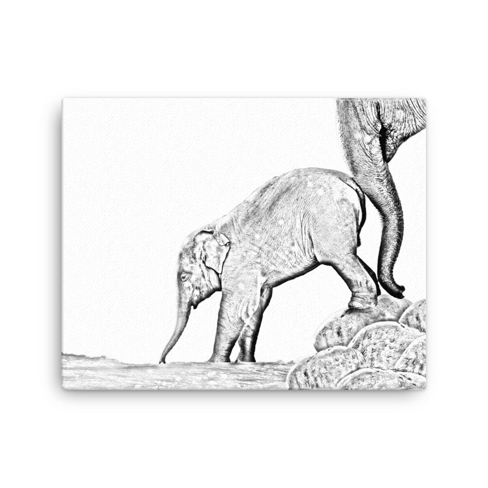 Elephant - Black & White - Canvas