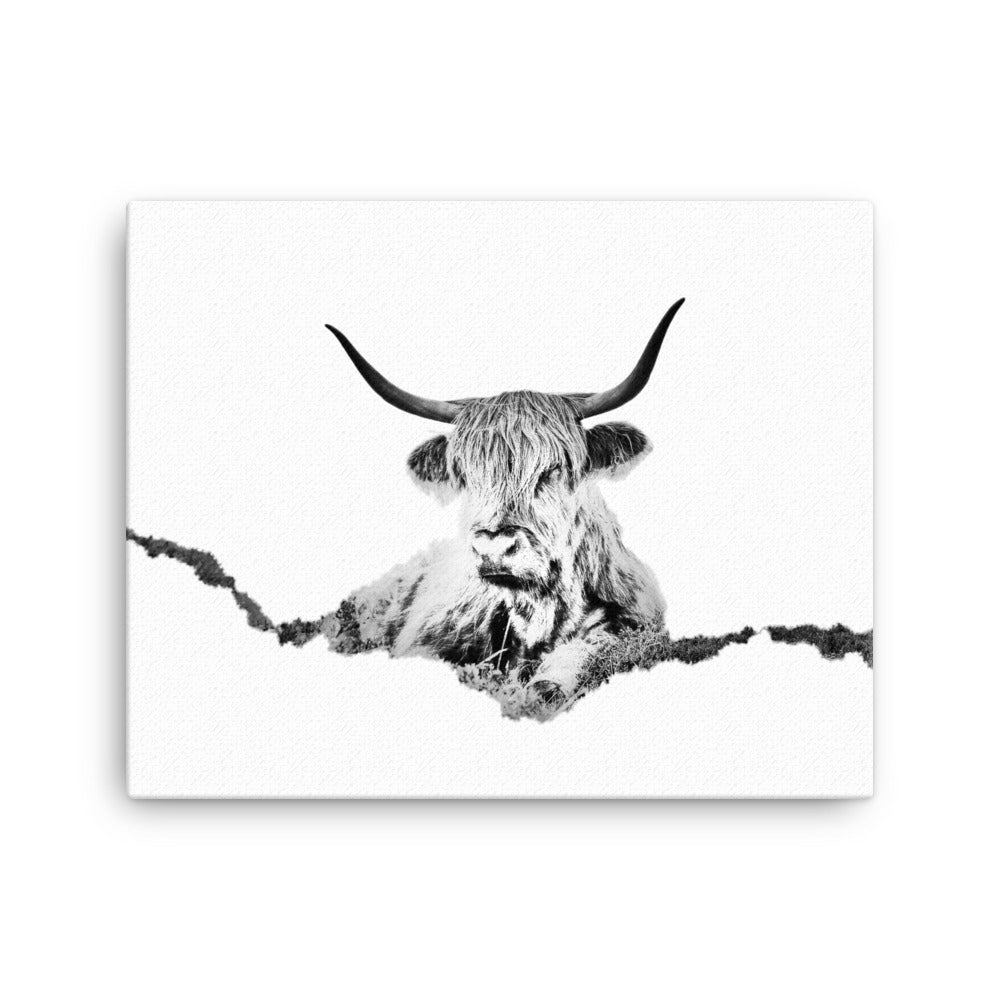 Highland Cow - Black & White - Canvas