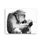 Chimpanzee - Black & White - Canvas