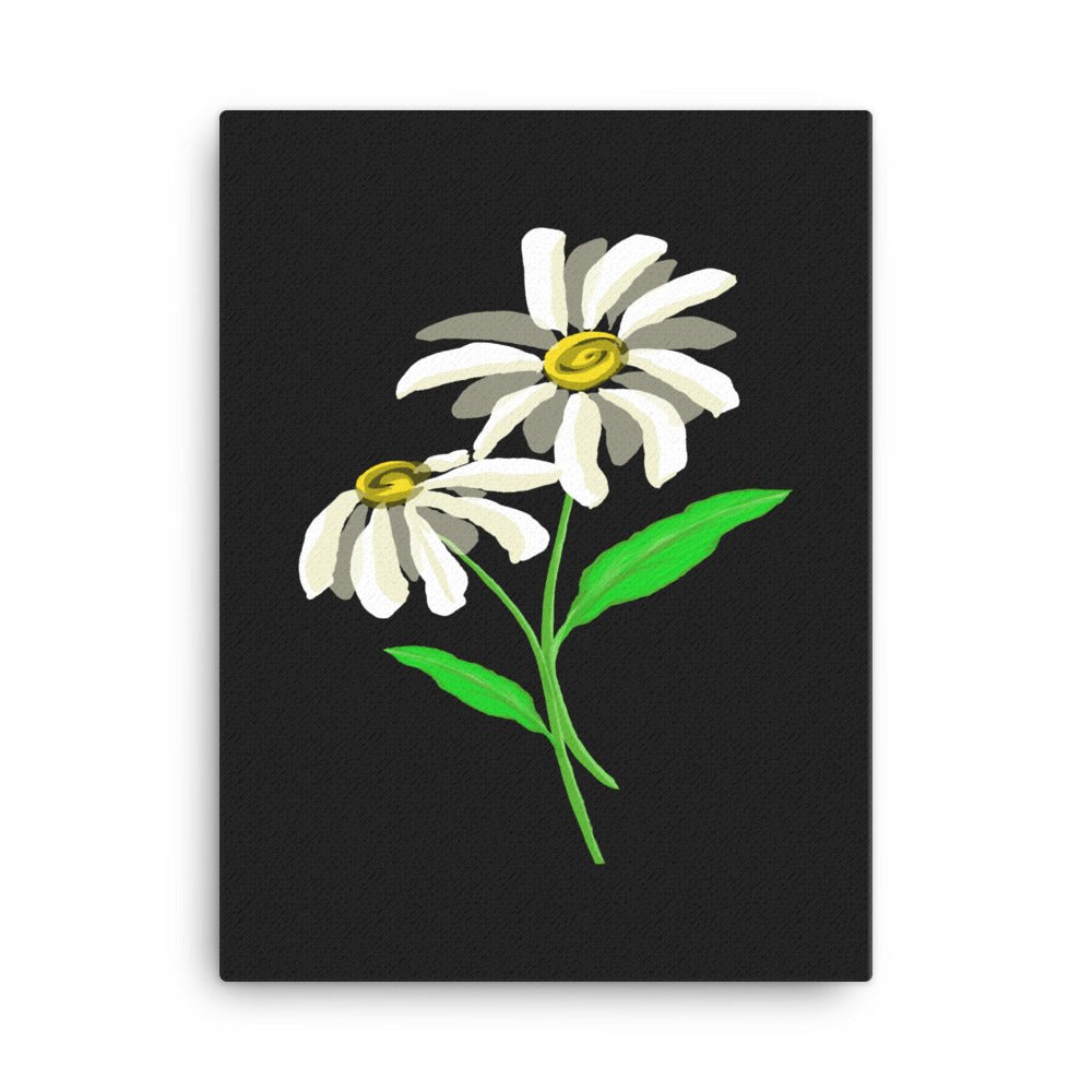 Daisy Day - Ink - Canvas