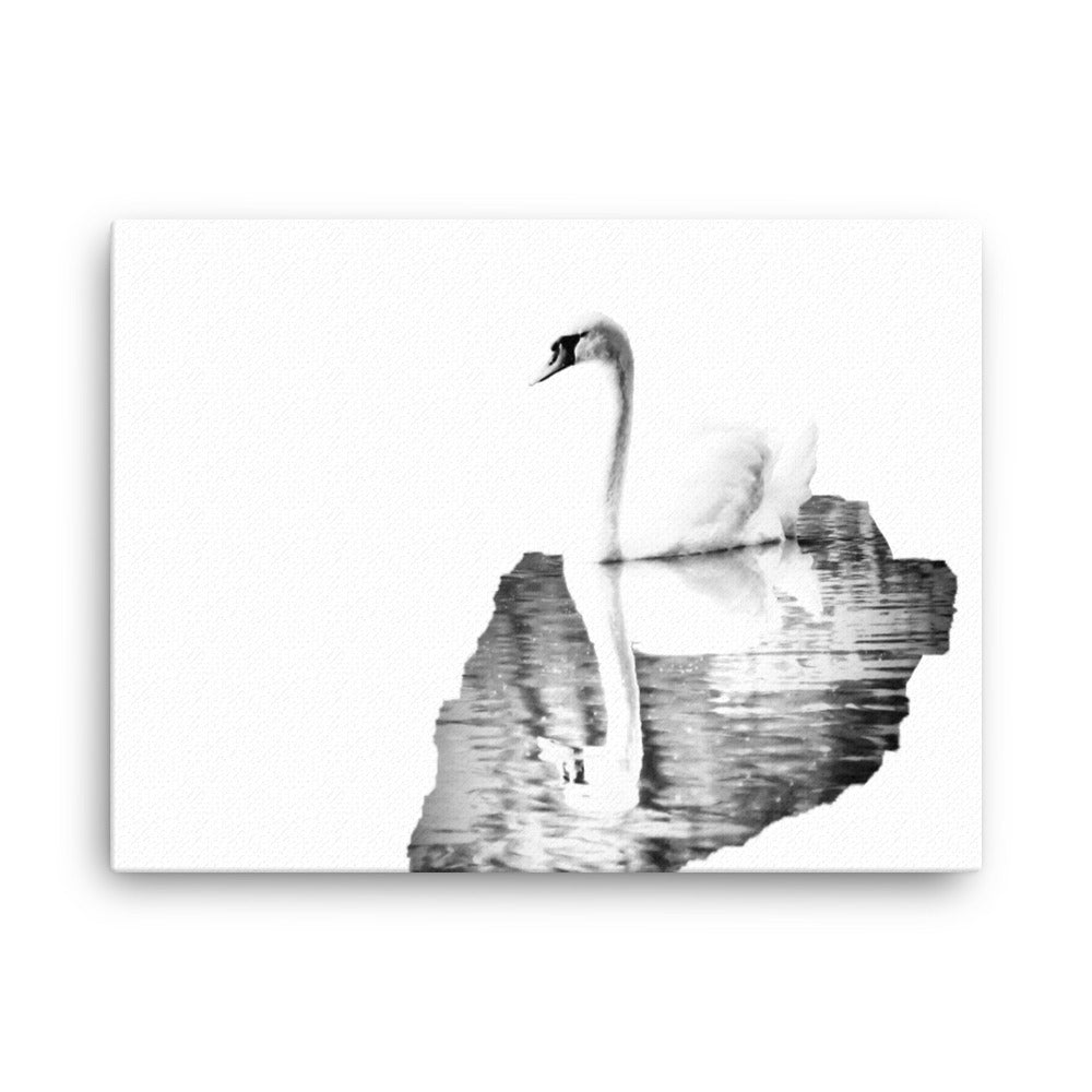 Swan - Black & White - Canvas