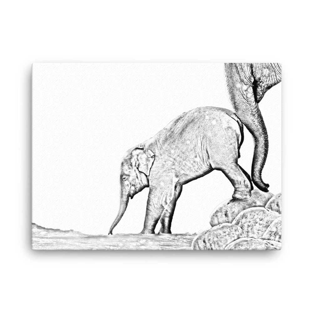 Elephant - Black & White - Canvas