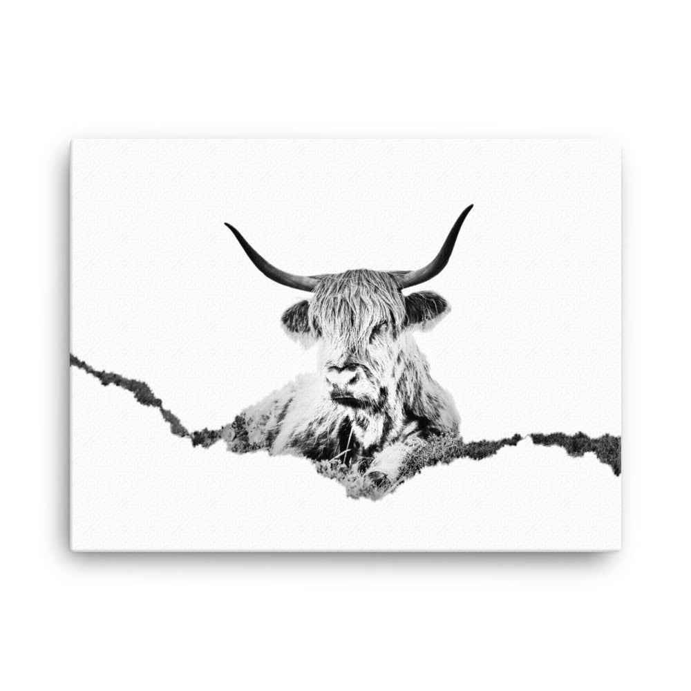 Highland Cow - Black & White - Canvas