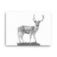 Fallow Deer - Black & White - Canvas