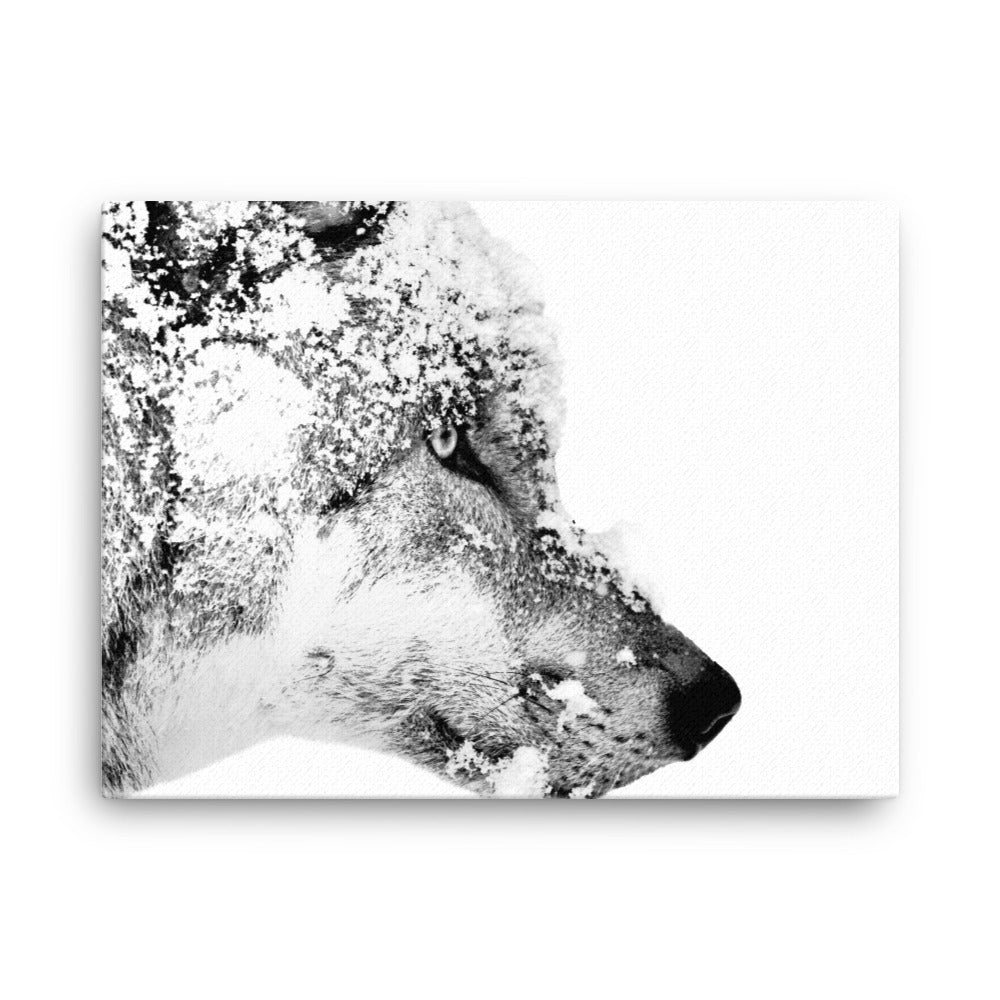 Eurasian Wolf - Black & White - Canvas