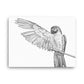 Macaw - Black & White - Canvas