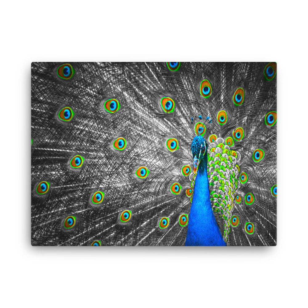 Pop of Peacock Blue - Canvas