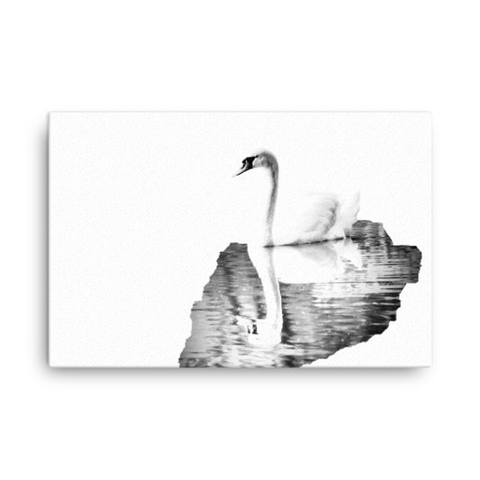 Black and white image of a swan on water with reflection on a white canvas.  