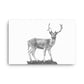 Fallow Deer - Black & White - Canvas