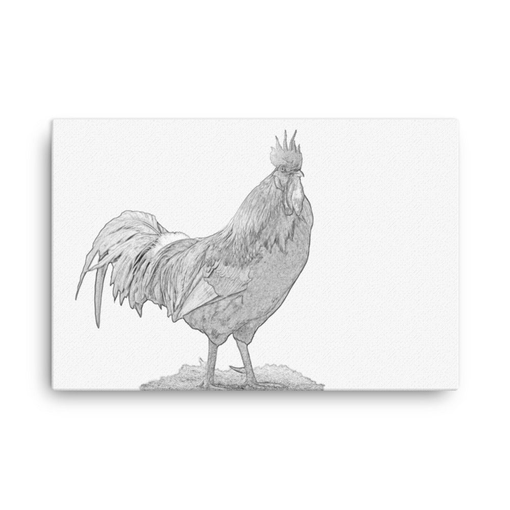 Black and white image of a rooster on a white canvas.  