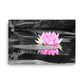 A lotus flower in pink in color in a black and white photo on canvas.  