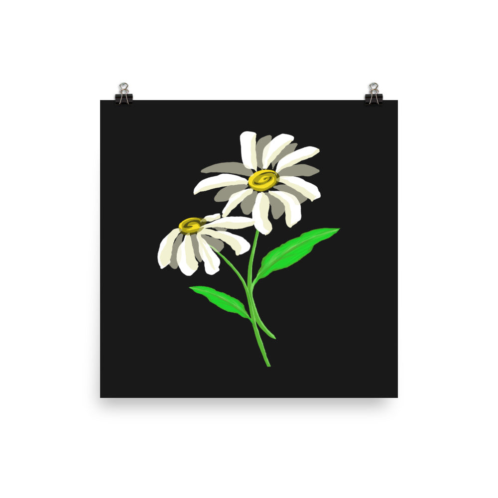 Artwork of daisy with black colored background on a poster.  
