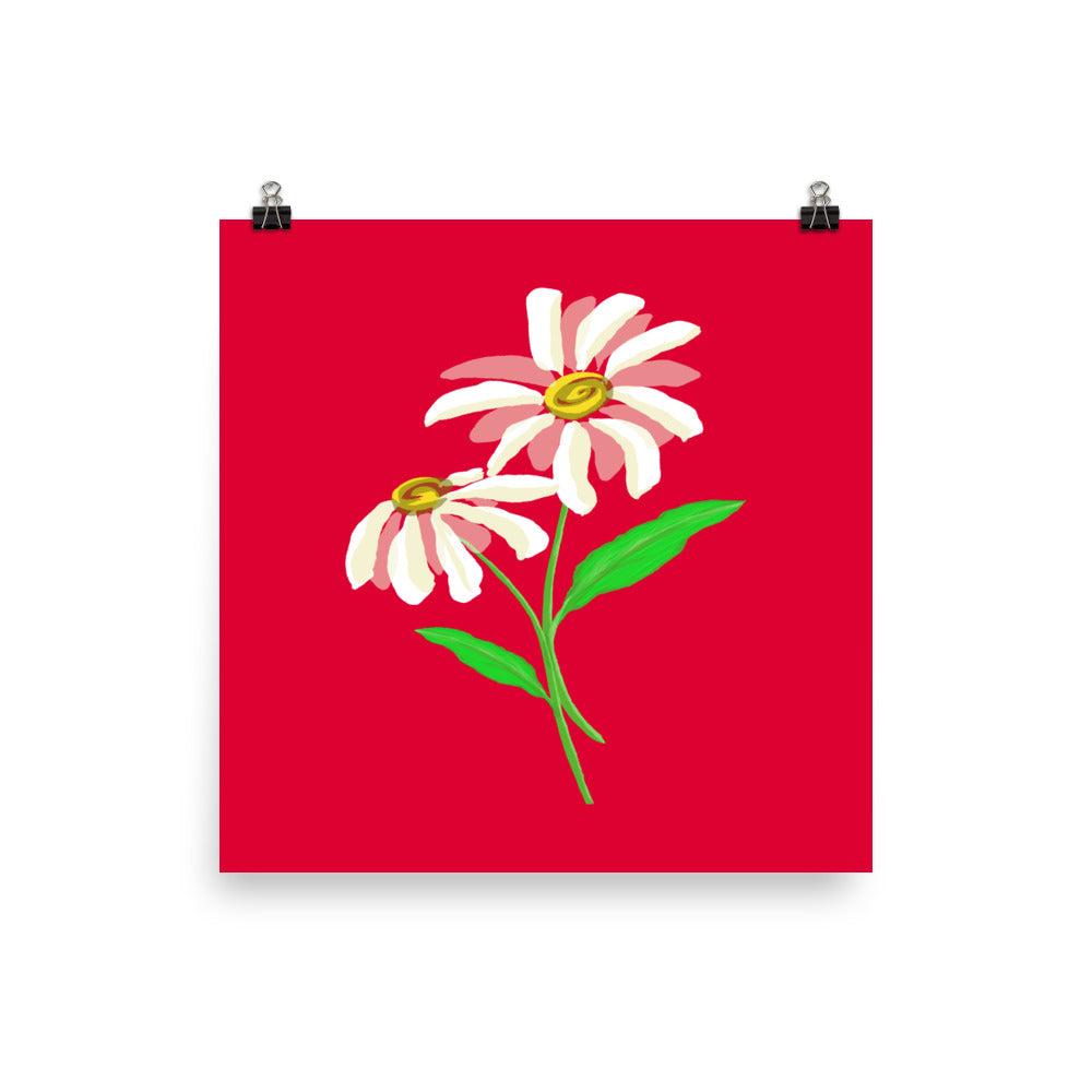 Artwork of daisy with a red colored background on a poster.  