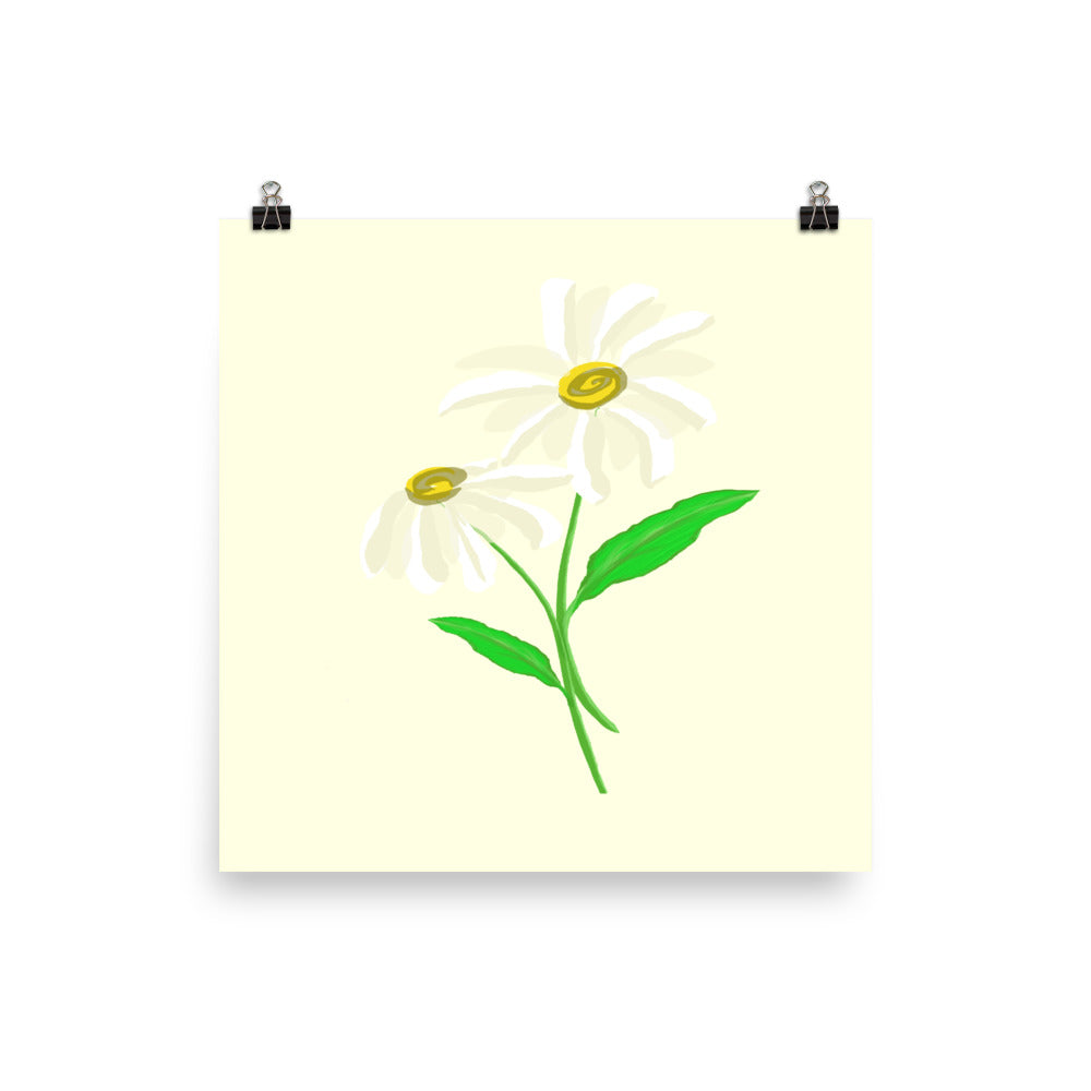 Artwork of daisy with yellow colored background on a poster.  
