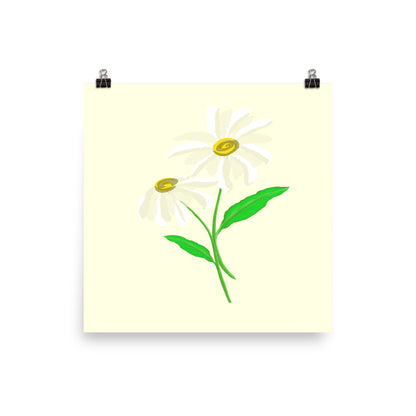 Artwork of daisy with yellow colored background on a poster.  