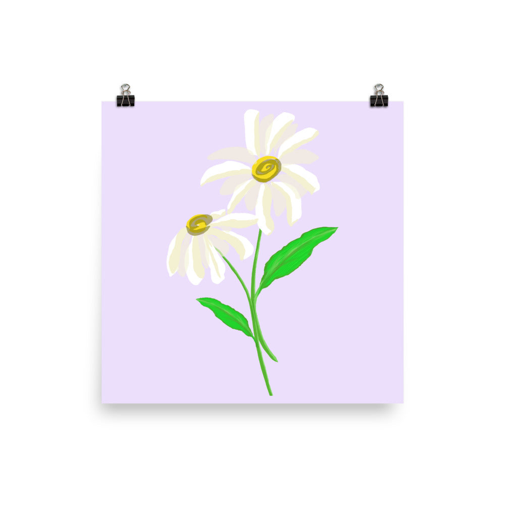 Artwork of daisy with a lavender purple colored background on a poster.  