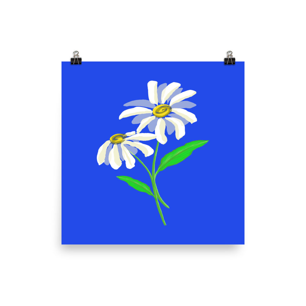 Artwork of daisy with royal blue colored background on a poster.  