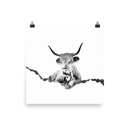 Highland Cow - Black & White - Art Print