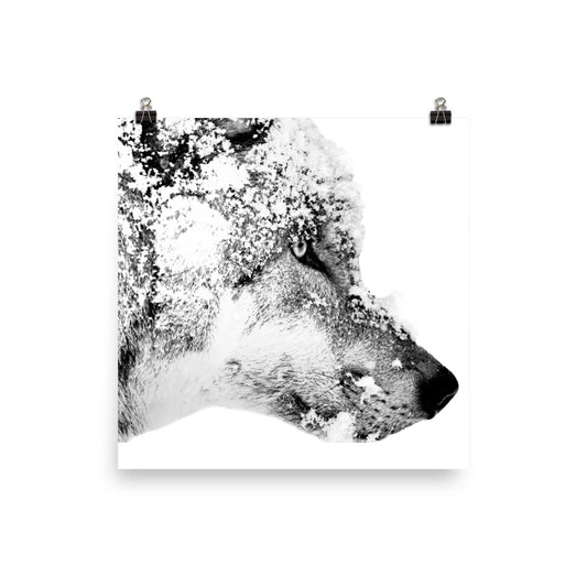 Eurasian Wolf - Black & White - Art Print